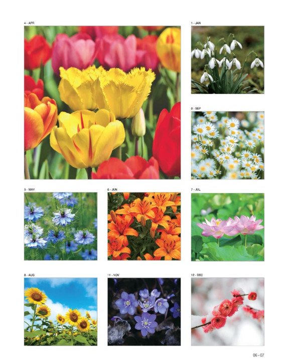 03 Flowers 03 Flowers