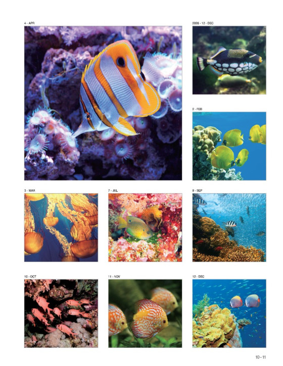 05 Sea Life 05 Sea Life