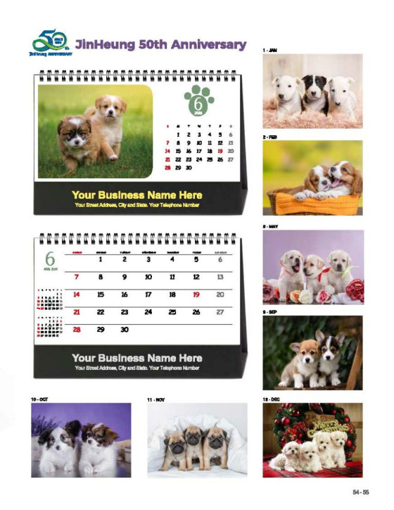 27 Little Puppies