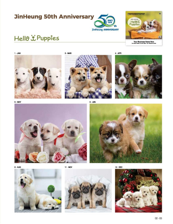 01 Hello Puppies 2026