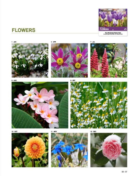 03 Flowers 2026