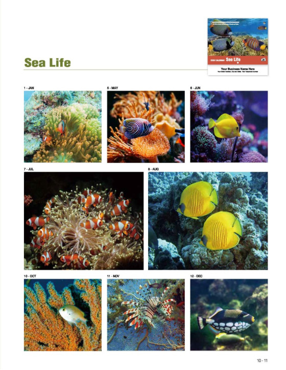 05 Sea Life